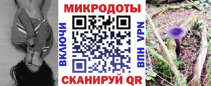 Псилоцибиновые грибы прущие грибы  Купить  Белоярский 